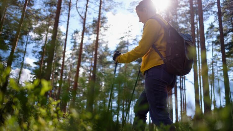 Nainen sauvakävelee metsässä, selkä kameraan päin.