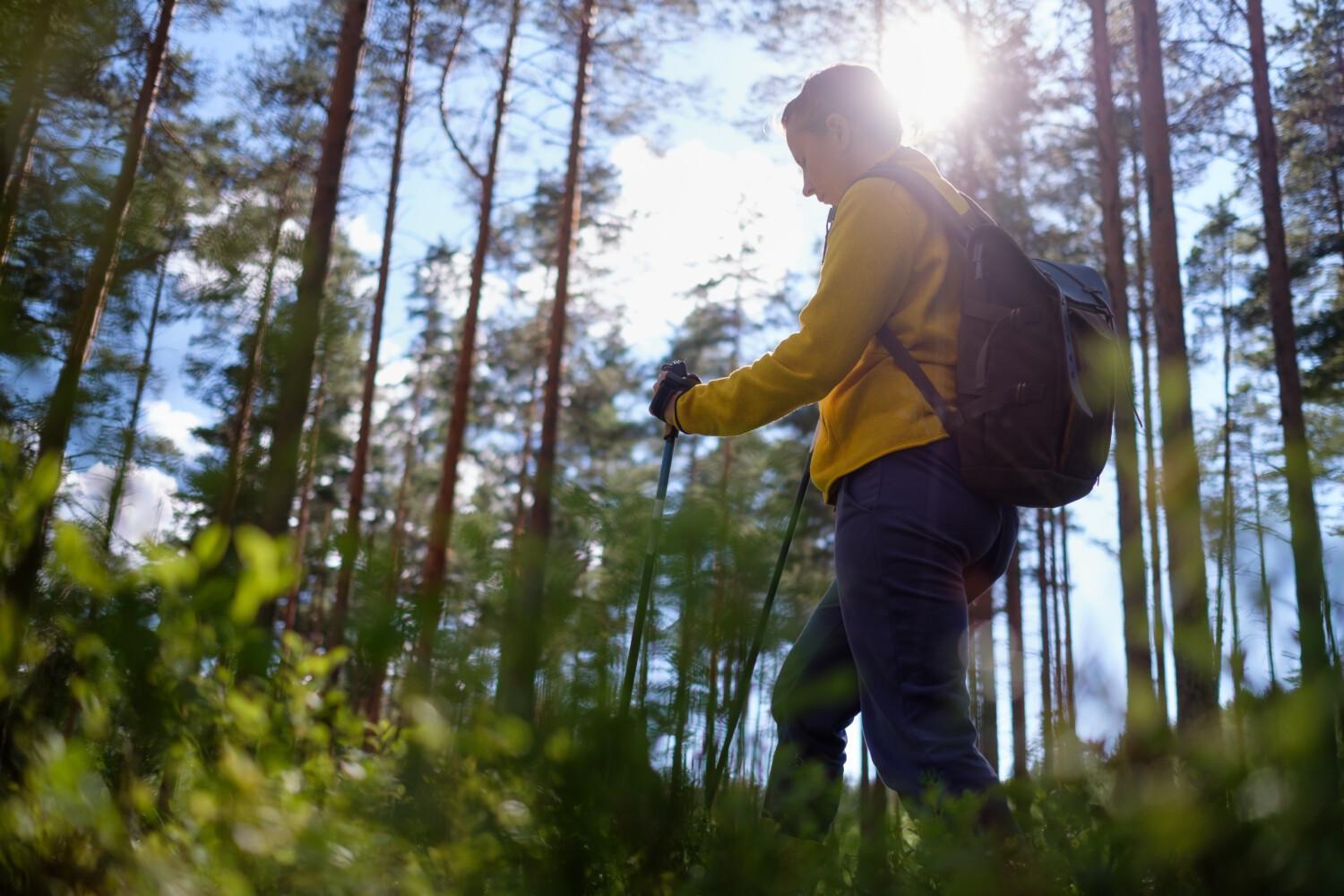 Nainen sauvakävelee metsässä, selkä kameraan päin.