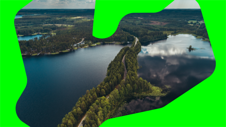 Kuvituskuva Punkaharjun harjumaisemista, päällä Eloisan logon ääriviivat.